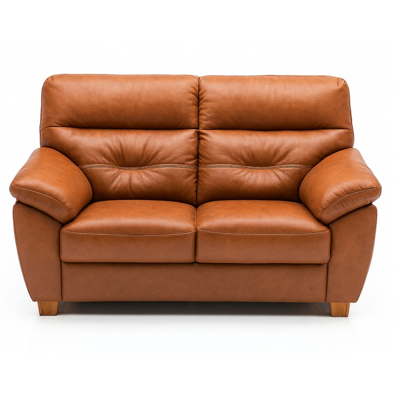 Dalby 2 pers lædersofa