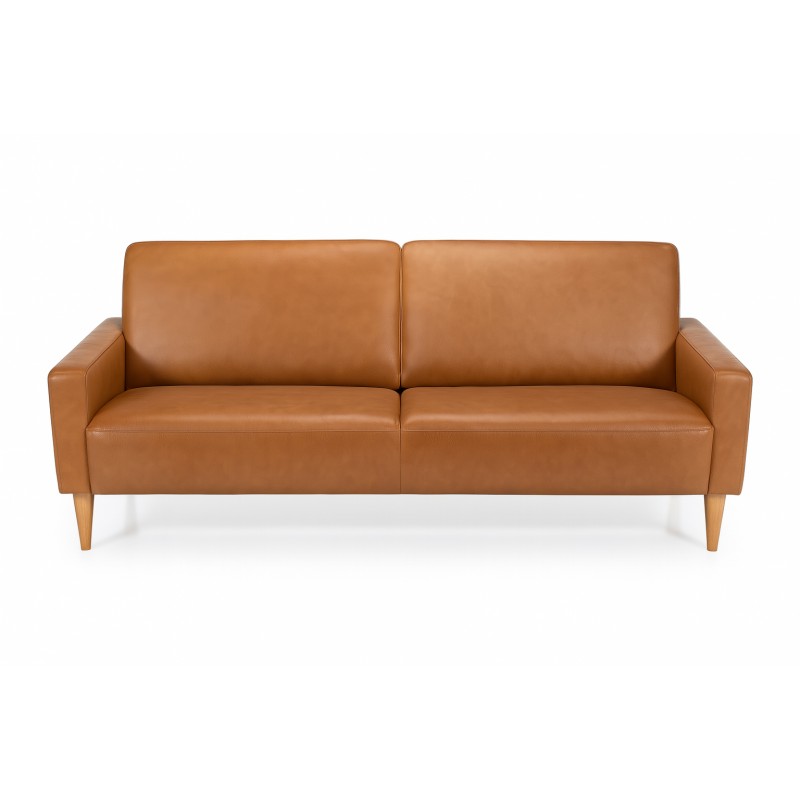 Hvidovre 3 personers lædersofa Cognac